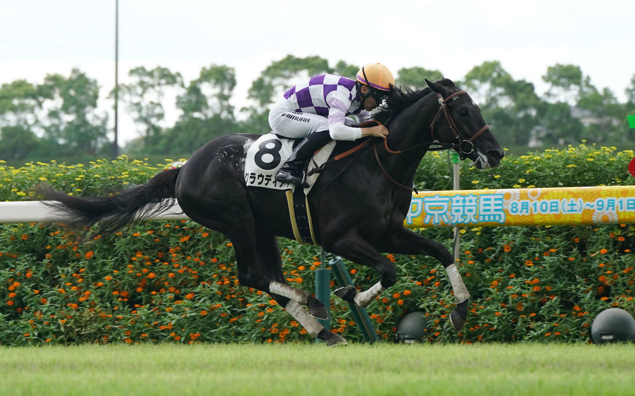 新馬戦を制したクラウディアイと西村淳騎手（撮影・森本幸一）