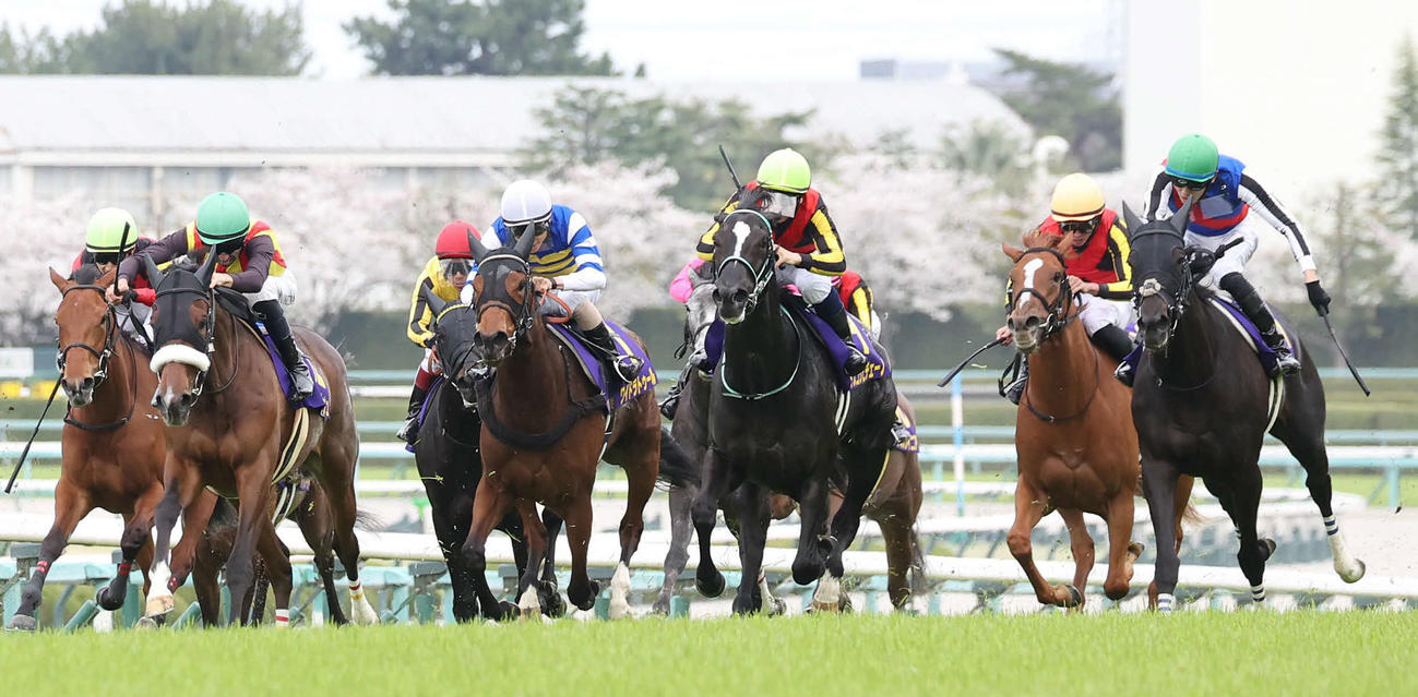 24年4月、桜花賞を制したステレンボッシュ（左から2頭目）を追って3着となったライトバック（右端）（撮影・白石智彦）