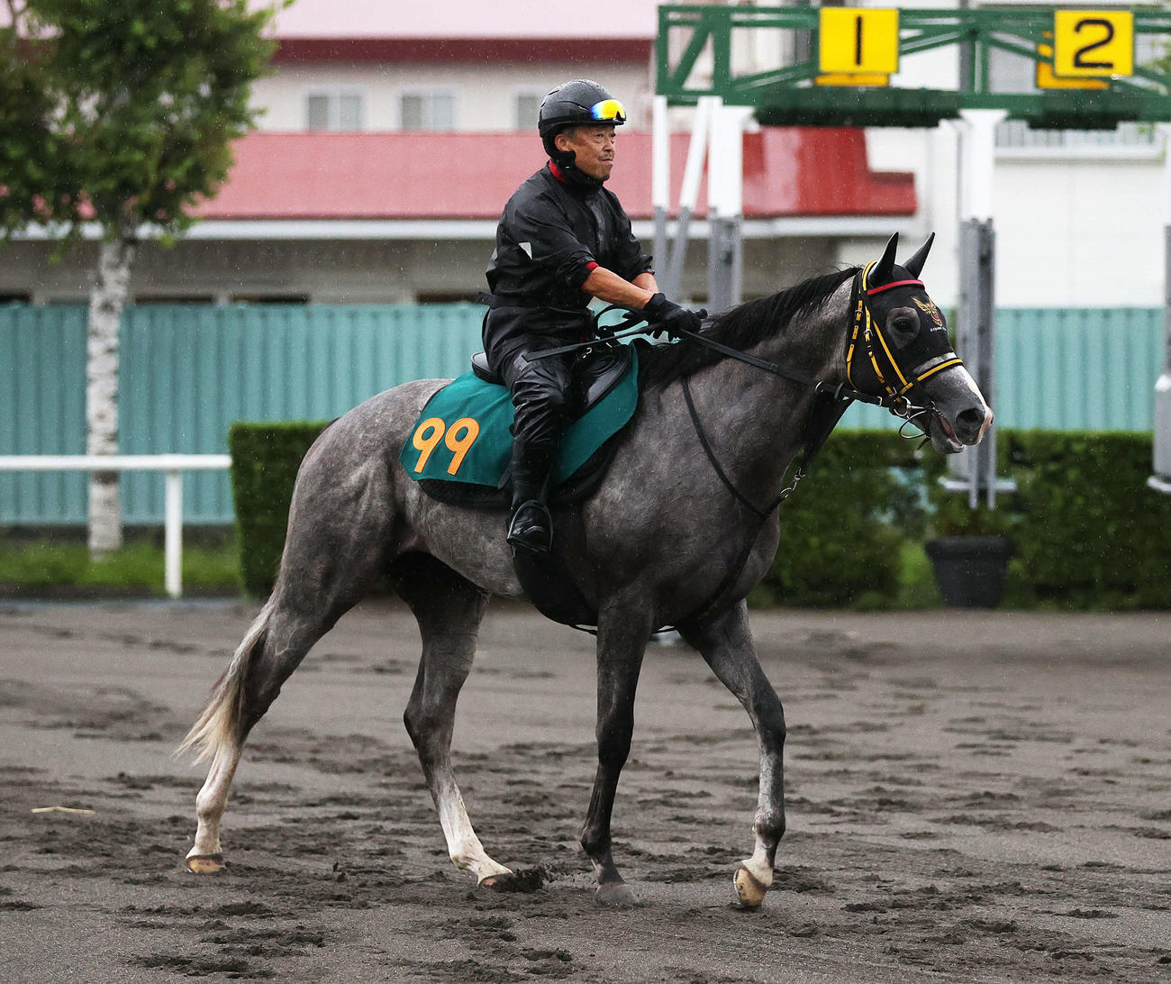 札幌競馬場で調整するモンドデラモーレ