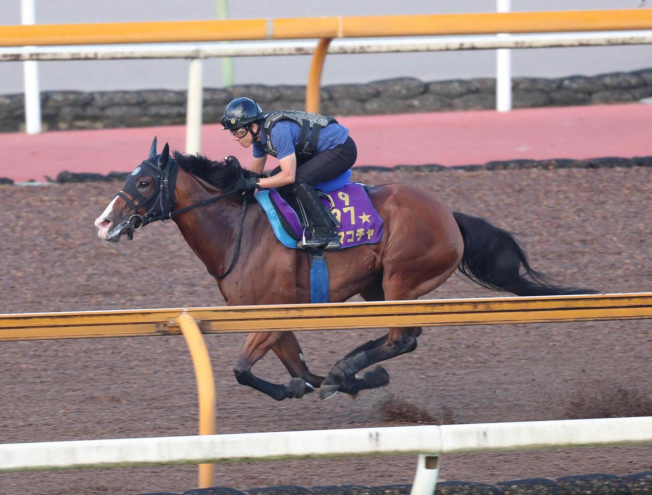 Cウッド3頭合わせで追い切るママコチャ