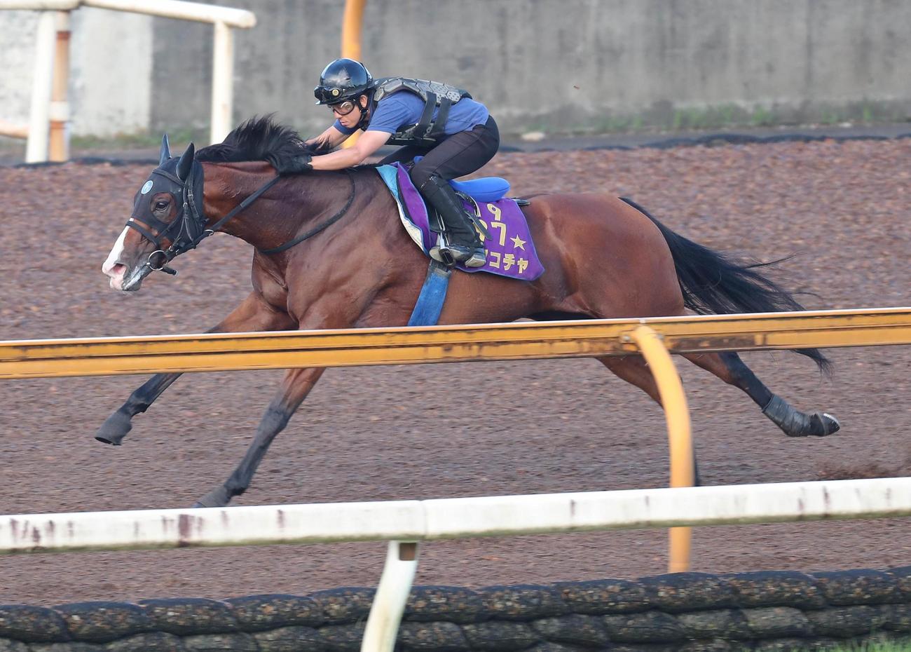 Cウッド3頭合わせで追い切るママコチャ