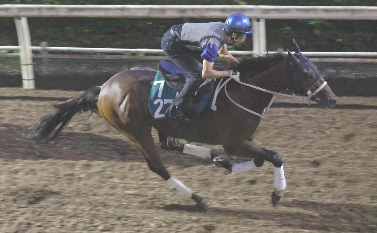 坂路にて併せ馬で追い切るエイシンワンド