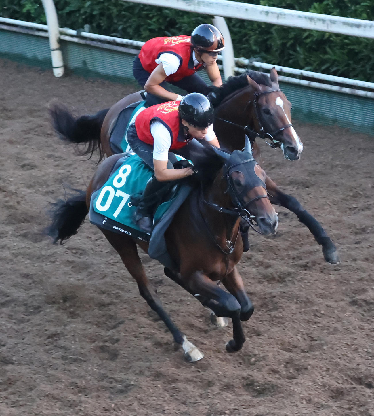 坂路で追い切るチムグクル（手前）