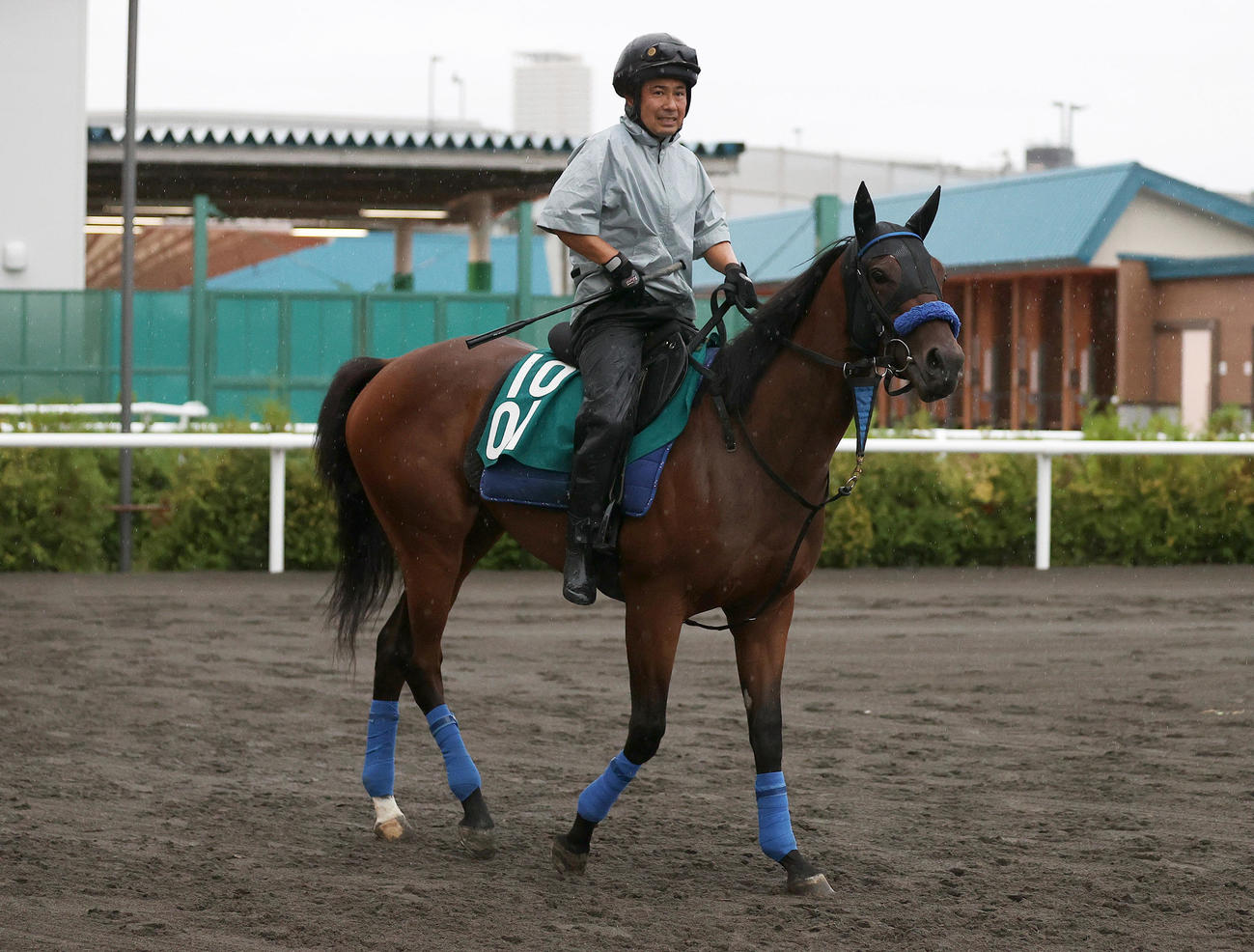 札幌競馬場で調整するダイヤノゴトク