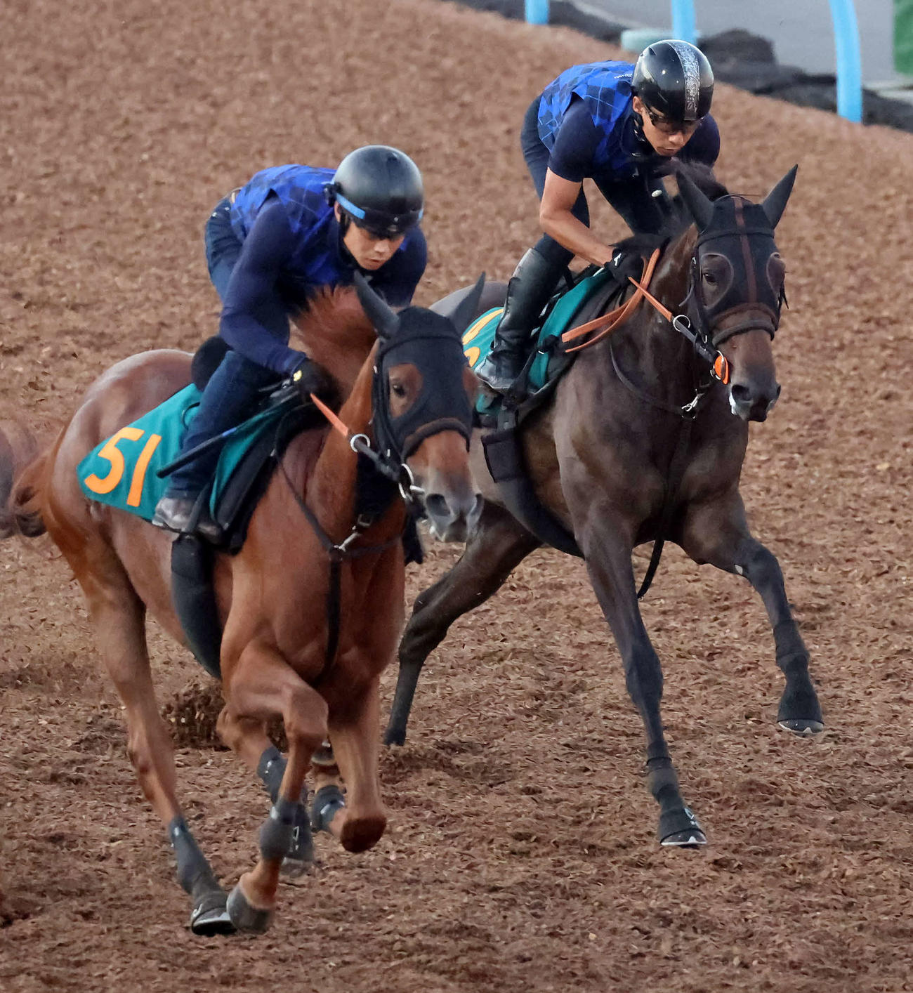 エンジェルマーク（右）は美浦ウッドを併せ馬で追い切られた（撮影・丹羽敏通）
