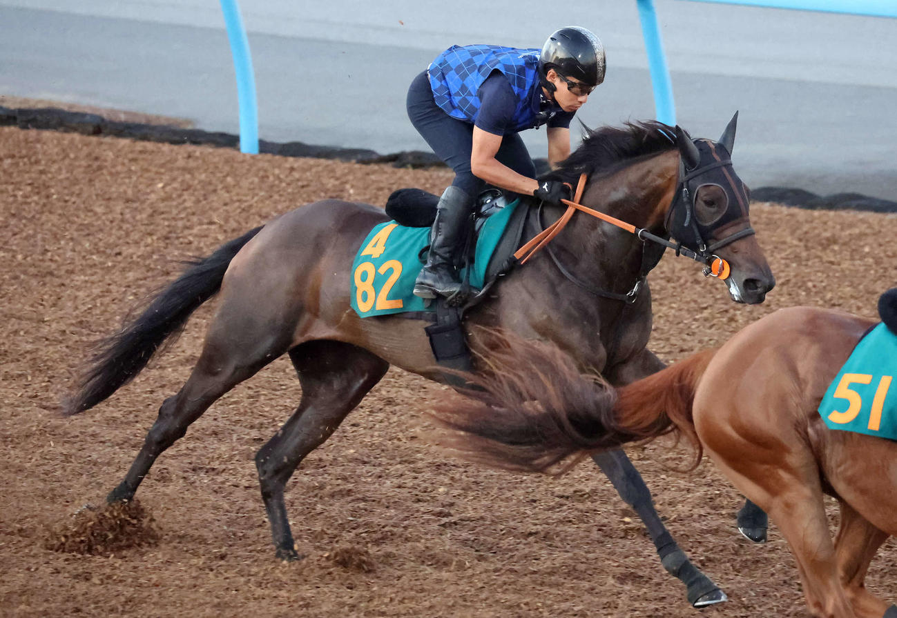 デビュー戦に向けてエンジェルマークは美浦ウッドを併せ馬で追い切られた（撮影・丹羽敏通）