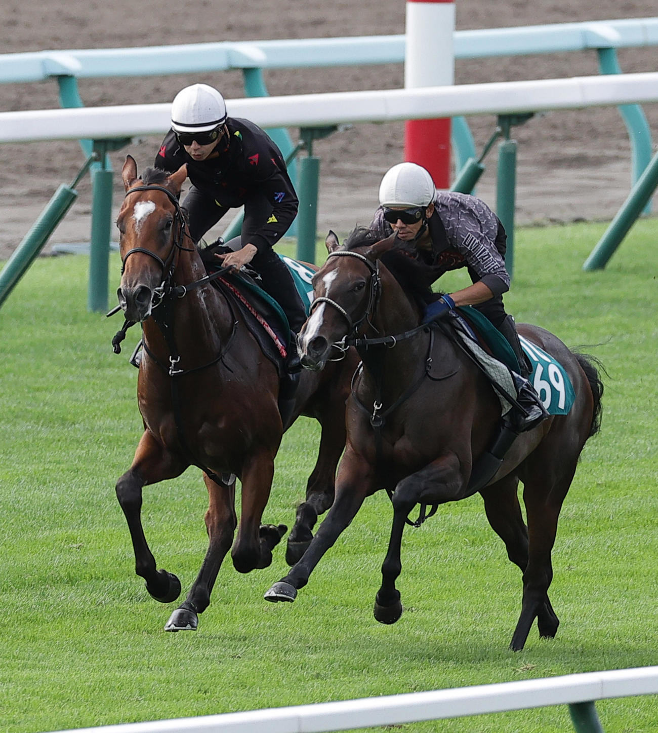 横山和生騎手を背に、札幌芝コースで併せ馬で追い切られるマテンロウサン（左）