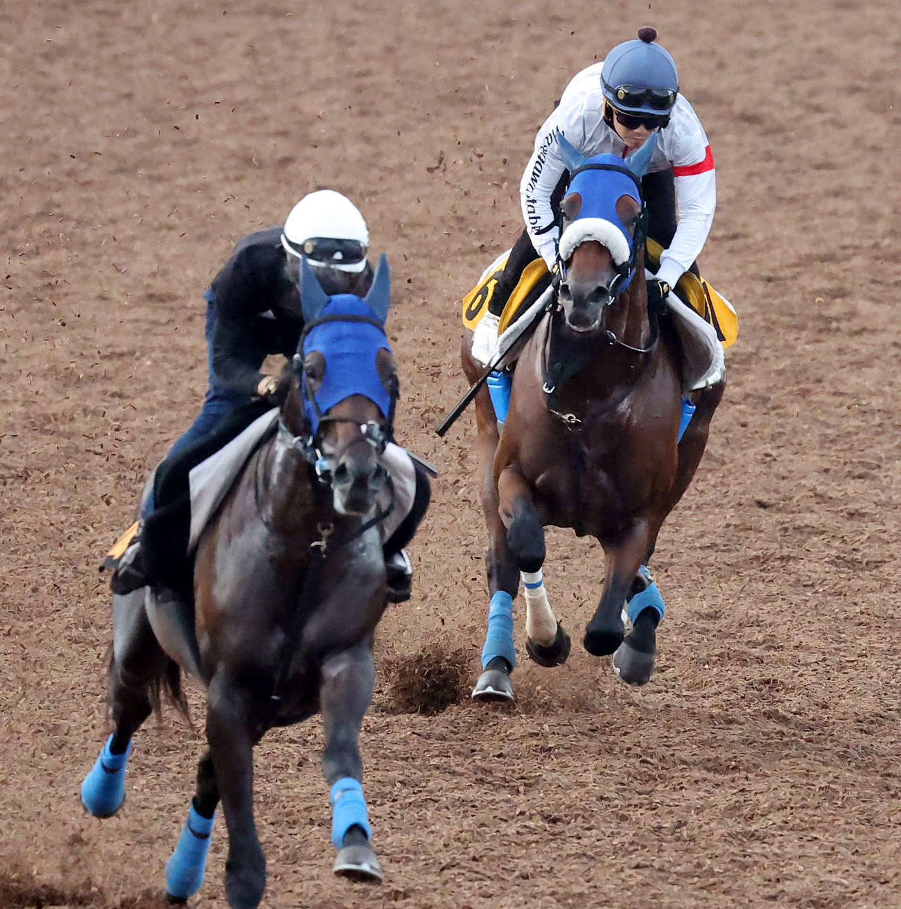 キングズパレス（右）は松岡騎手を背に美浦ウッドで先行するカルマンフィルターを追い上げた（撮影・丹羽敏通）