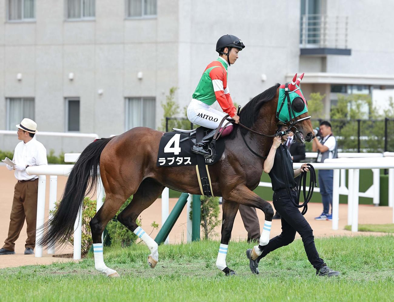 ラプタス（2024年6月撮影）
