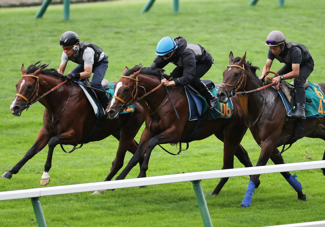 佐々木騎手を背に、札幌芝コースで併せ馬で追い切られるダノンミッション（中央）