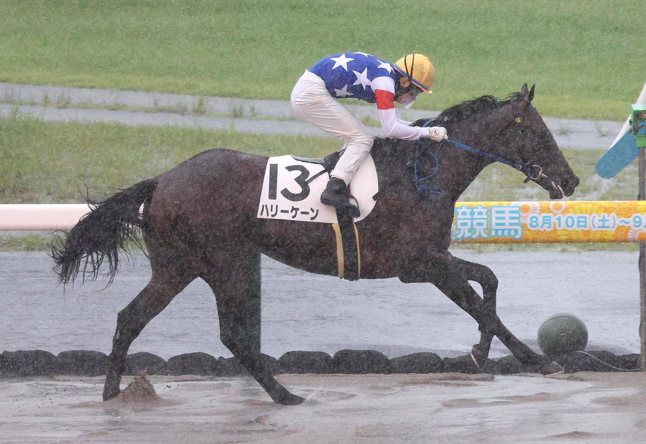 中京6R、逃げ切って新馬戦を制したハリーケーン（撮影・白石智彦）
