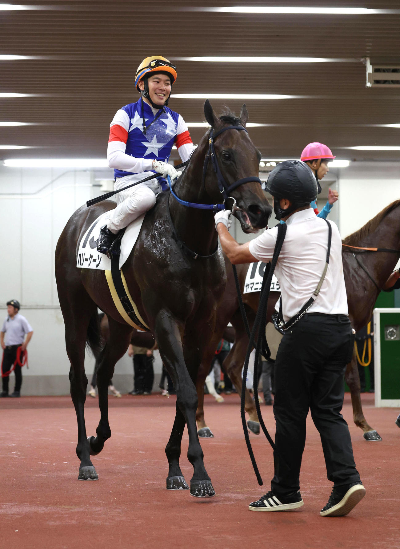 中京6R、新馬戦を制したハリーケーン（撮影・白石智彦）