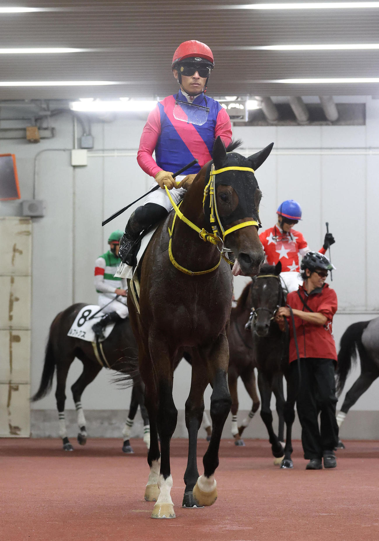 中京12Rをメイショウミシガンで制しJRA年間100勝を達成した川田騎手（撮影・白石智彦）