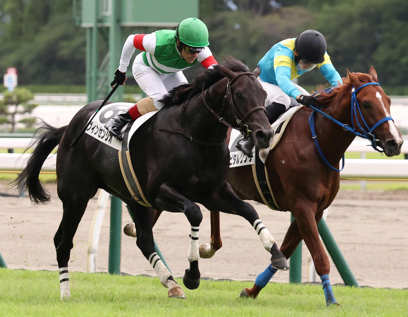 2歳新馬戦を制したヴィンセンシオとルメール騎手。右は2着のキャピタルリッチ（撮影・丹羽敏通）