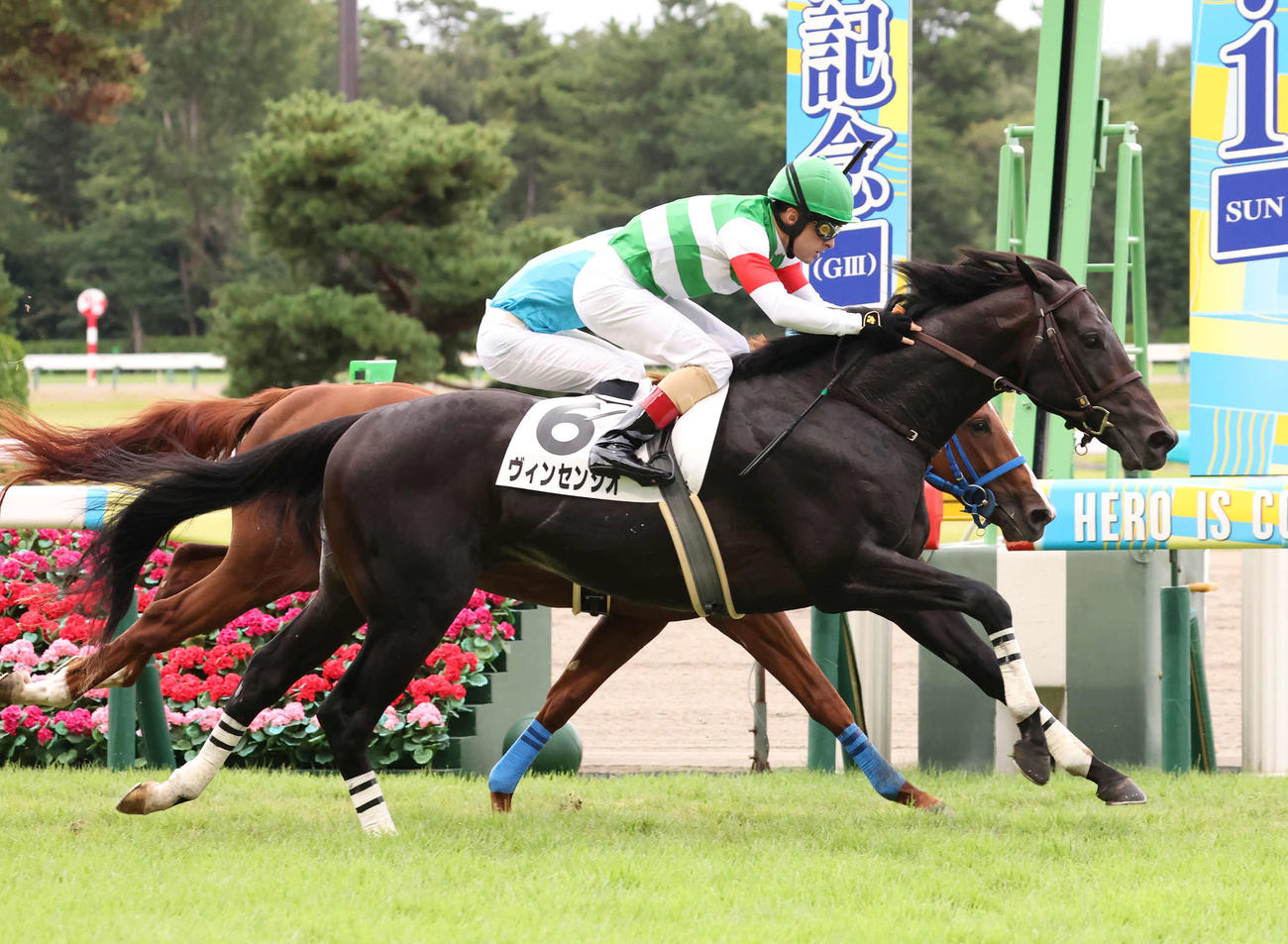 新潟5R、2歳新馬戦を制したヴィンセンシオとルメール騎手（撮影・丹羽敏通）