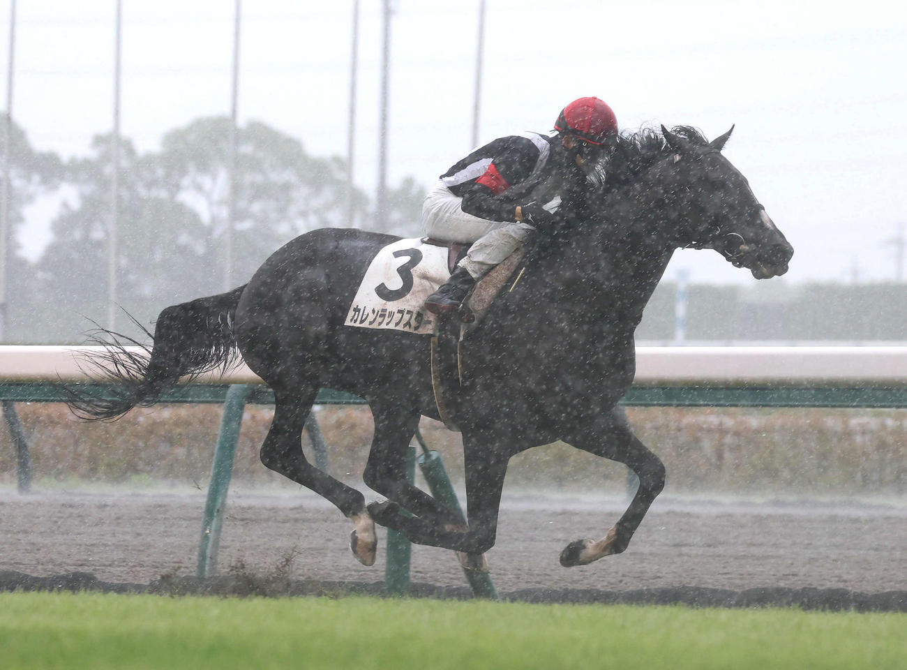中京5R、直線抜け出して新馬戦を制したカレンラップスター（撮影・白石智彦）