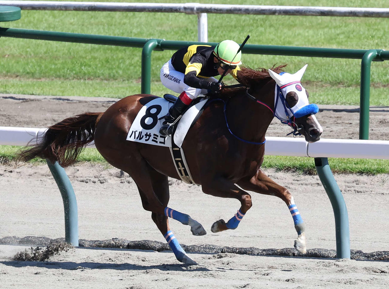 新潟7R、3歳未勝利戦を制したバルサミコと菊沢騎手（撮影・丹羽敏通）