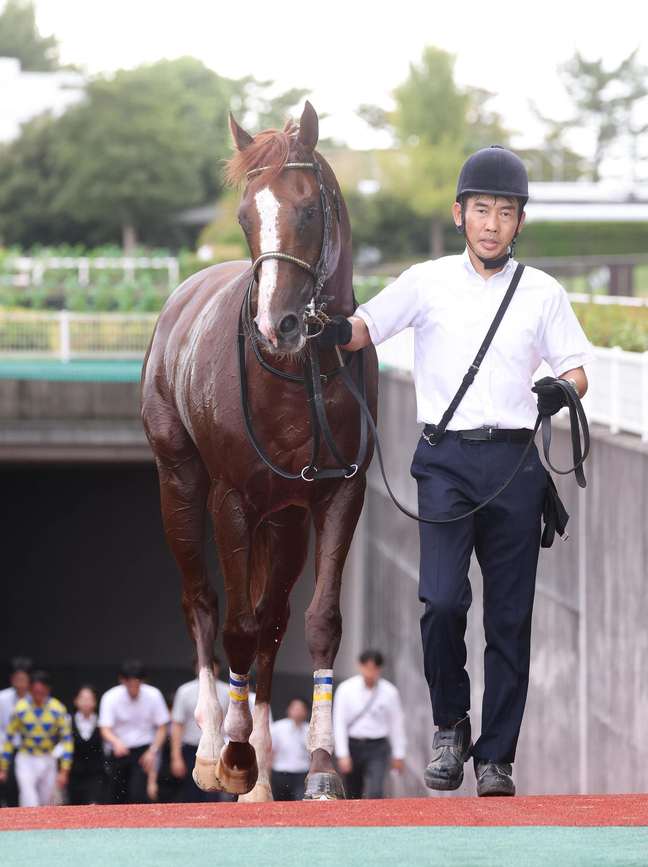 中京9R有松特別を制したフォーチュンタイム（撮影・白石智彦）