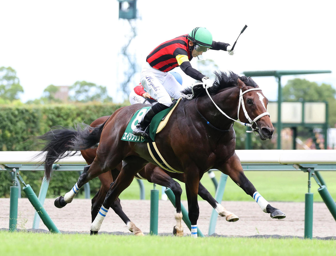 直線抜け出して小倉2歳Sを制したエイシンワンド（撮影・白石智彦）