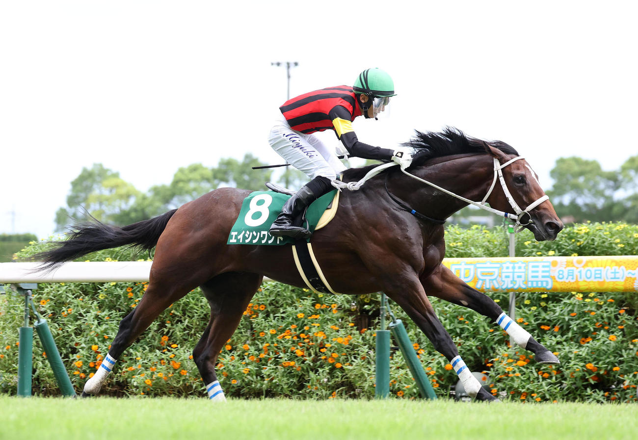 直線抜け出して小倉2歳Sを制したエイシンワンド（撮影・白石智彦）