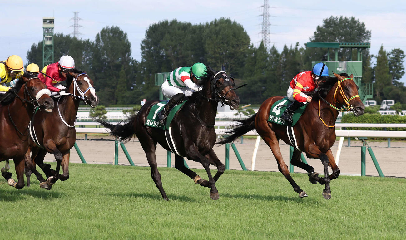 新潟記念を制したシンリョクカと木幡初騎手（右端）（撮影・丹羽敏通）
