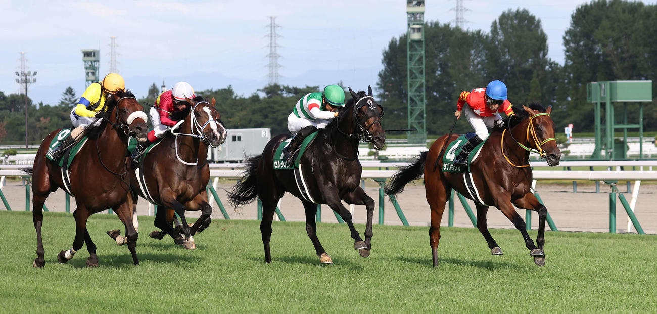 新潟記念を制したシンリョクカと木幡初騎手（右端）（撮影・丹羽敏通）