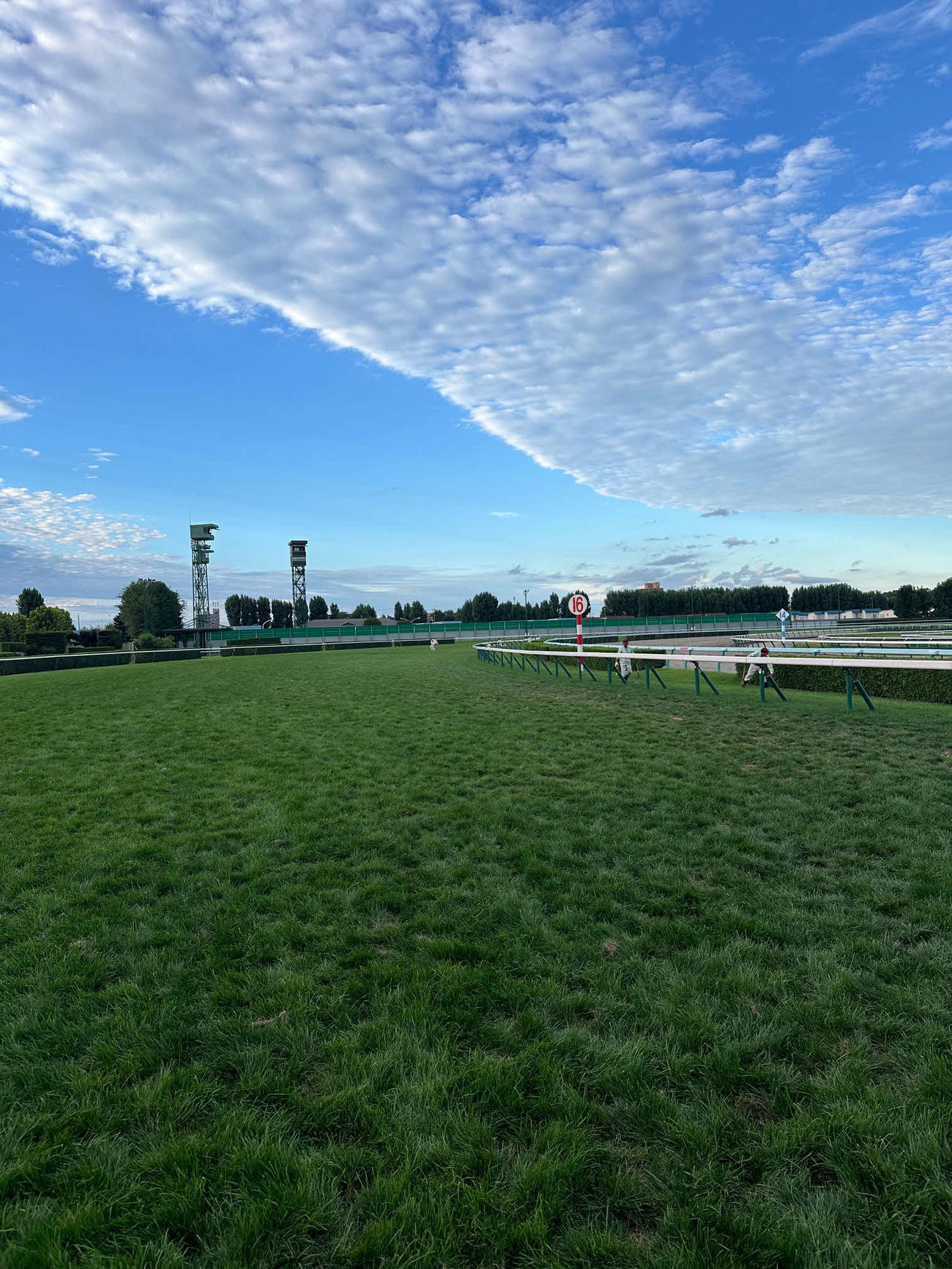 札幌競馬場の芝コース。1角付近。
