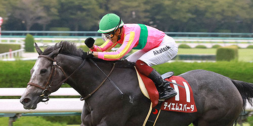 セントウルSをテイエムスパーダで制して重賞初制覇の富田騎手はガッツポーズを見せる(撮影・白石智彦)=2023年9月10日、阪神競馬場