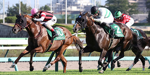 京成杯AHを制したソウルラッシュと松山騎手（右）。左は2着ウイングレイテスト（撮影・丹羽敏通）＝2023年9月10日、中山競馬場