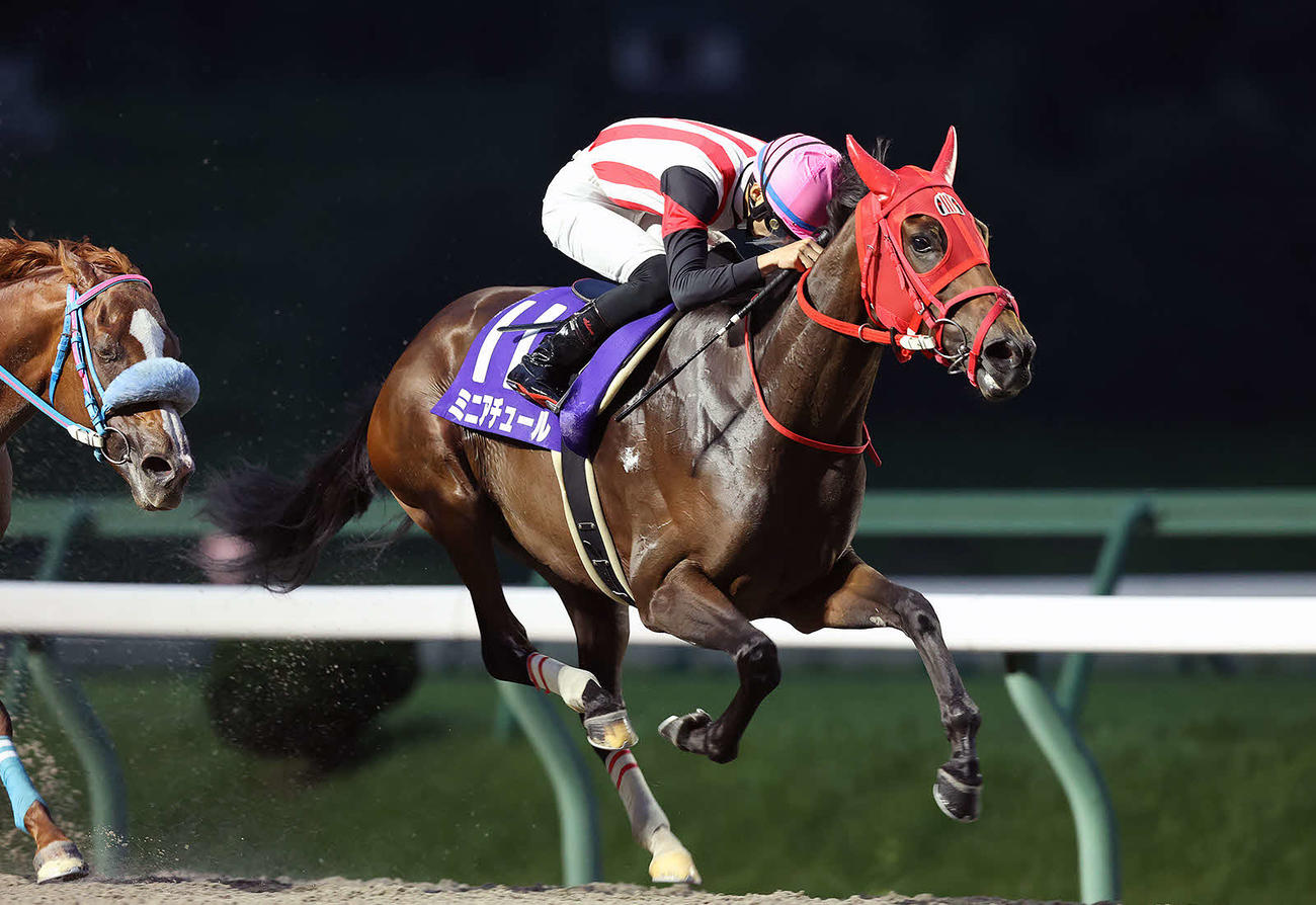 ビューチフルドリーマーCを制したミニアチュール（写真提供・岩手県競馬組合）