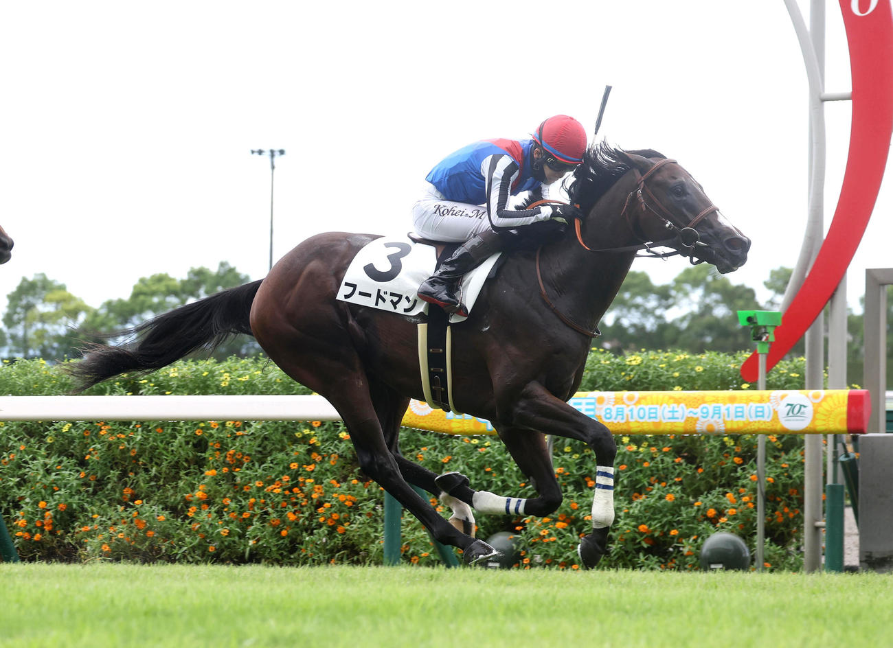 中京5R、逃げ切って新馬戦を制したフードマン（撮影・白石智彦）