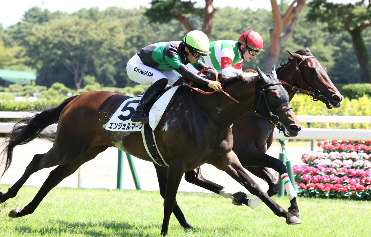 新潟5R、エンジェルマークと川田騎手（手前）はグロスビークを首差抑え新馬戦を制した（撮影・丹羽敏通）