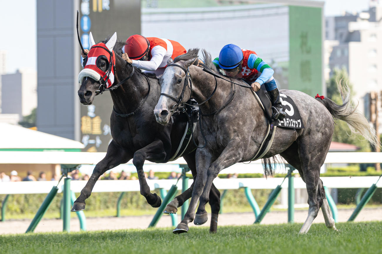 札幌11R、タイランドCを制したショウナンバシット（左）（撮影・村野早祐）