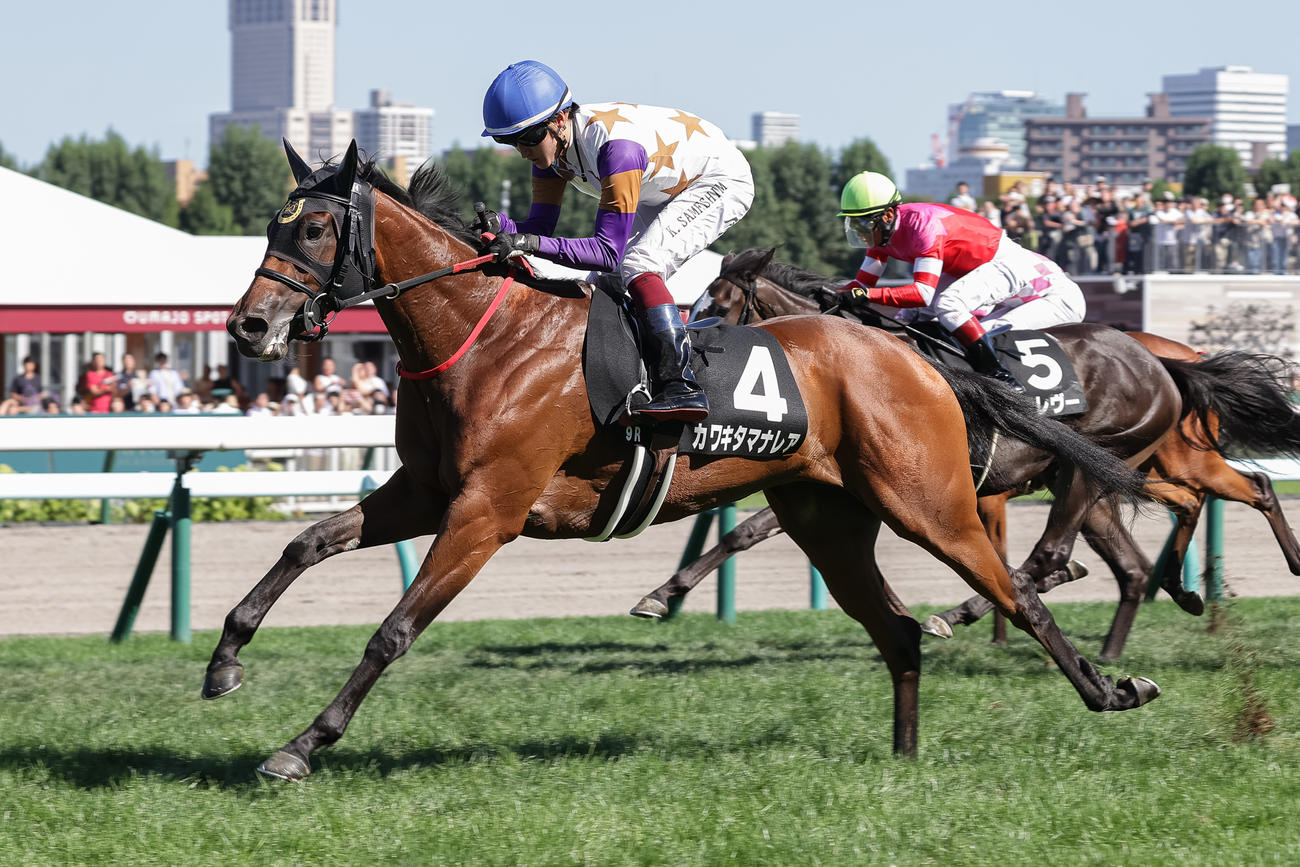 札幌9R、シンガポールTC賞を制したカワキタマナレアと鮫島駿騎手（撮影・村野早祐）