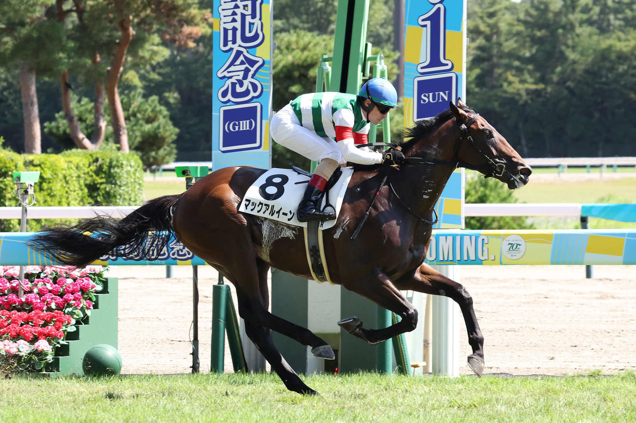 新潟6R、2歳新馬戦に勝利したマックアルイーンとルメール騎手（撮影・丹羽敏通）