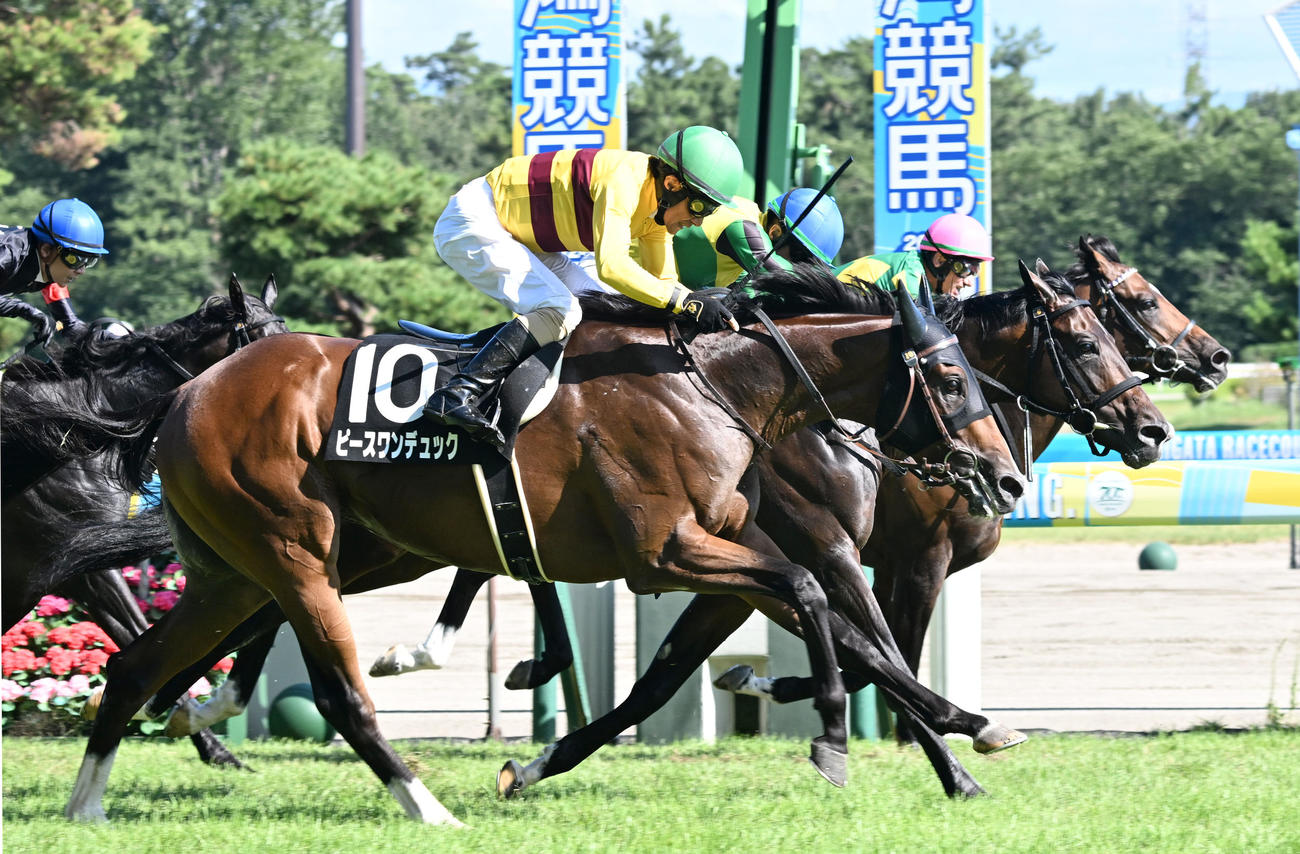 阿賀野川特別を制したピースワンデュックと柴田騎手（手前）（撮影・千葉一成）