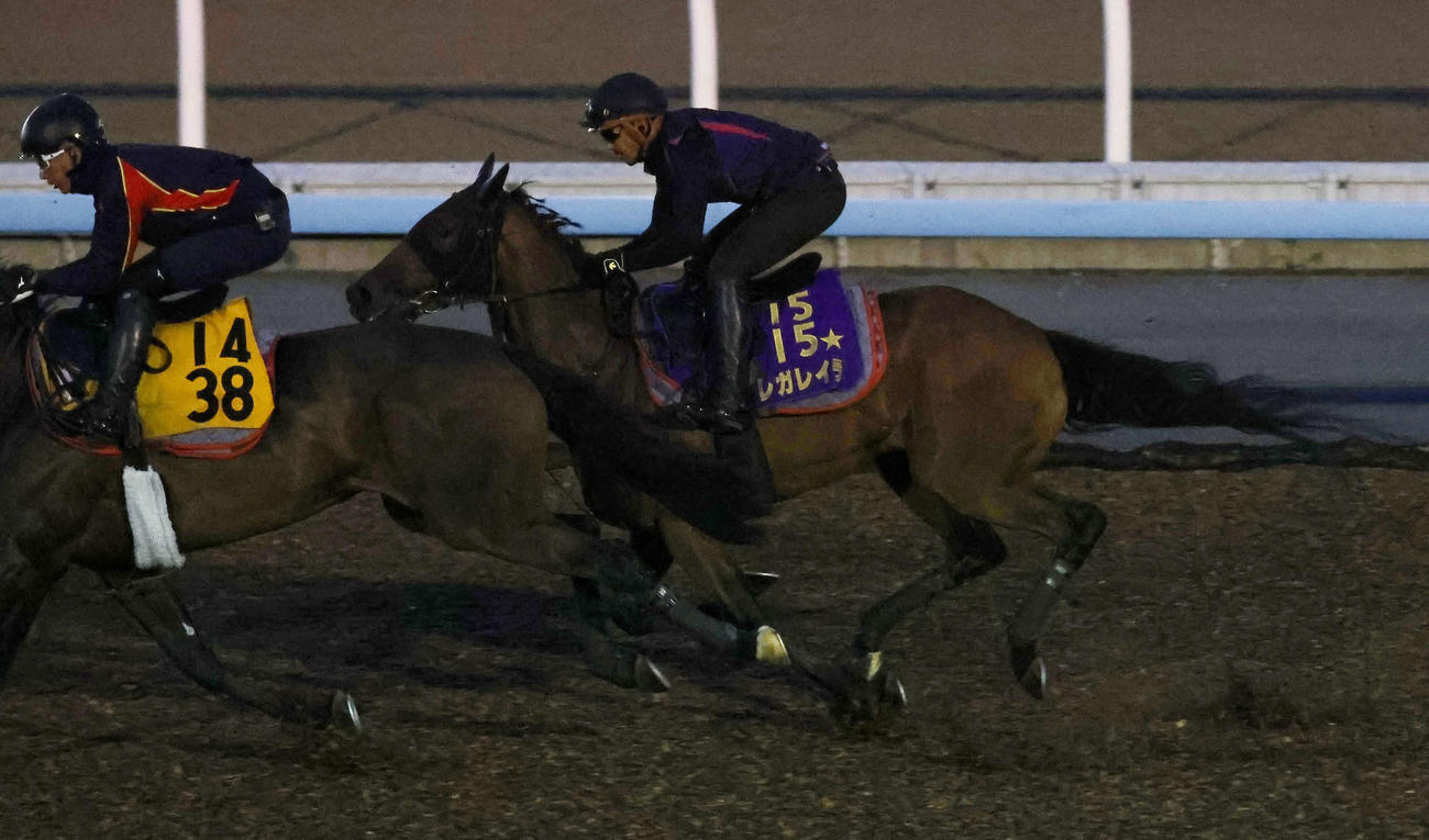 夜明け前、レガレイラ（奥）は美浦ウッドで先行するヒップホップソウルを追い上げた（撮影・丹羽敏通）