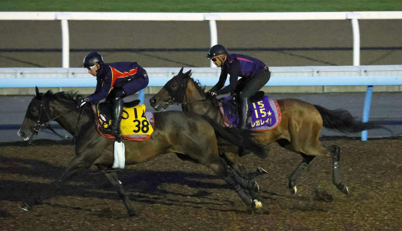 夜明け前、レガレイラ（奥）は美浦ウッドでヒップホップソウルと併せて追い切られた（撮影・丹羽敏通）