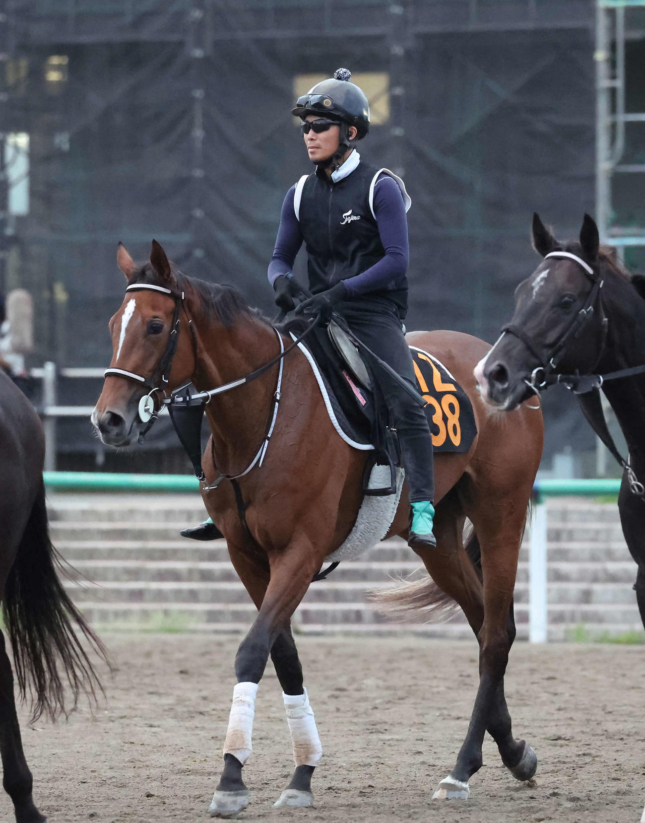 馬場を出るホーエリート（撮影・丹羽敏通）