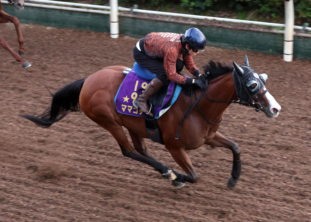 鮫島駿騎手を背に坂路を併せ馬で追い切るママコチャ（撮影・白石智彦）