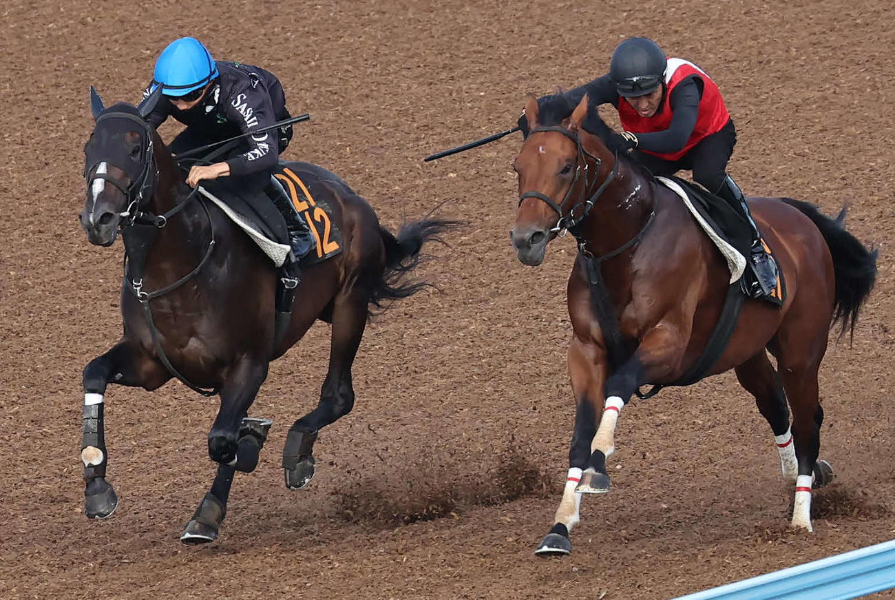 サルヴェージワーク（左）は佐々木騎手を背に美浦ウッドでアスクハッピーモアと併せて追い切られた