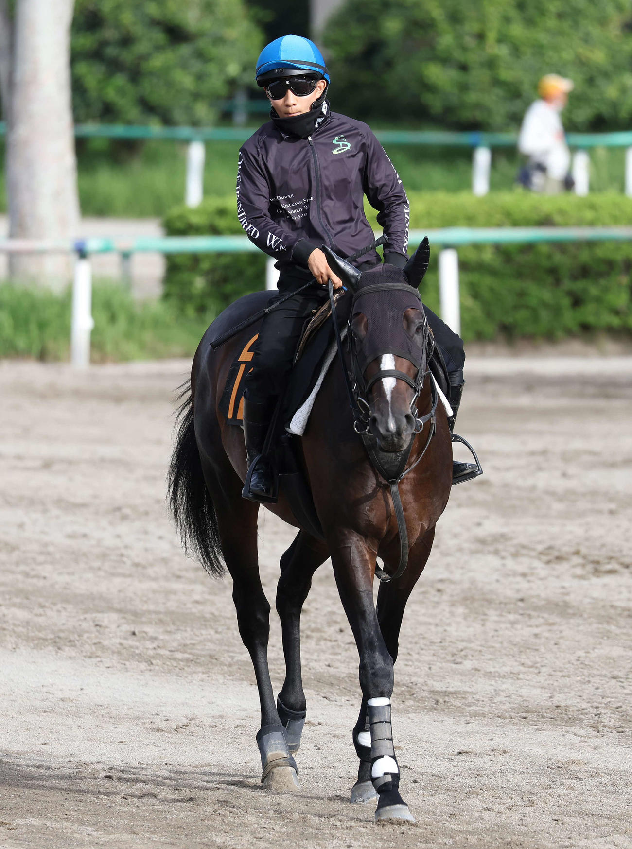馬場へ向かうサルヴェージワークと佐々木騎手（撮影・丹羽敏通）