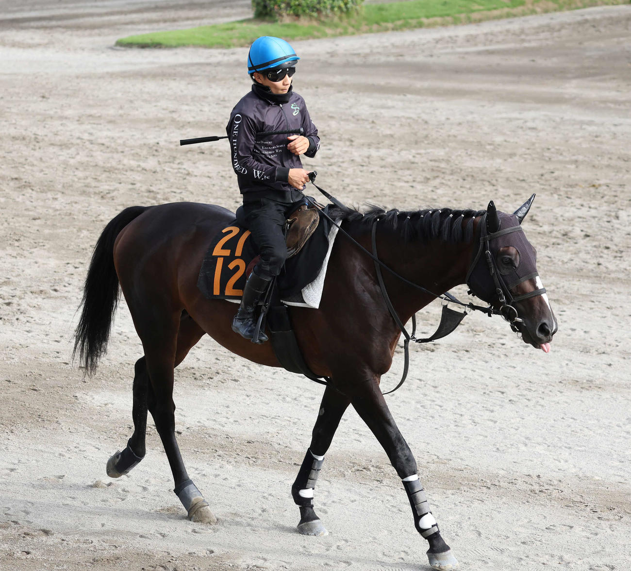 馬場へ向かうサルヴェージワークと佐々木騎手（撮影・丹羽敏通）