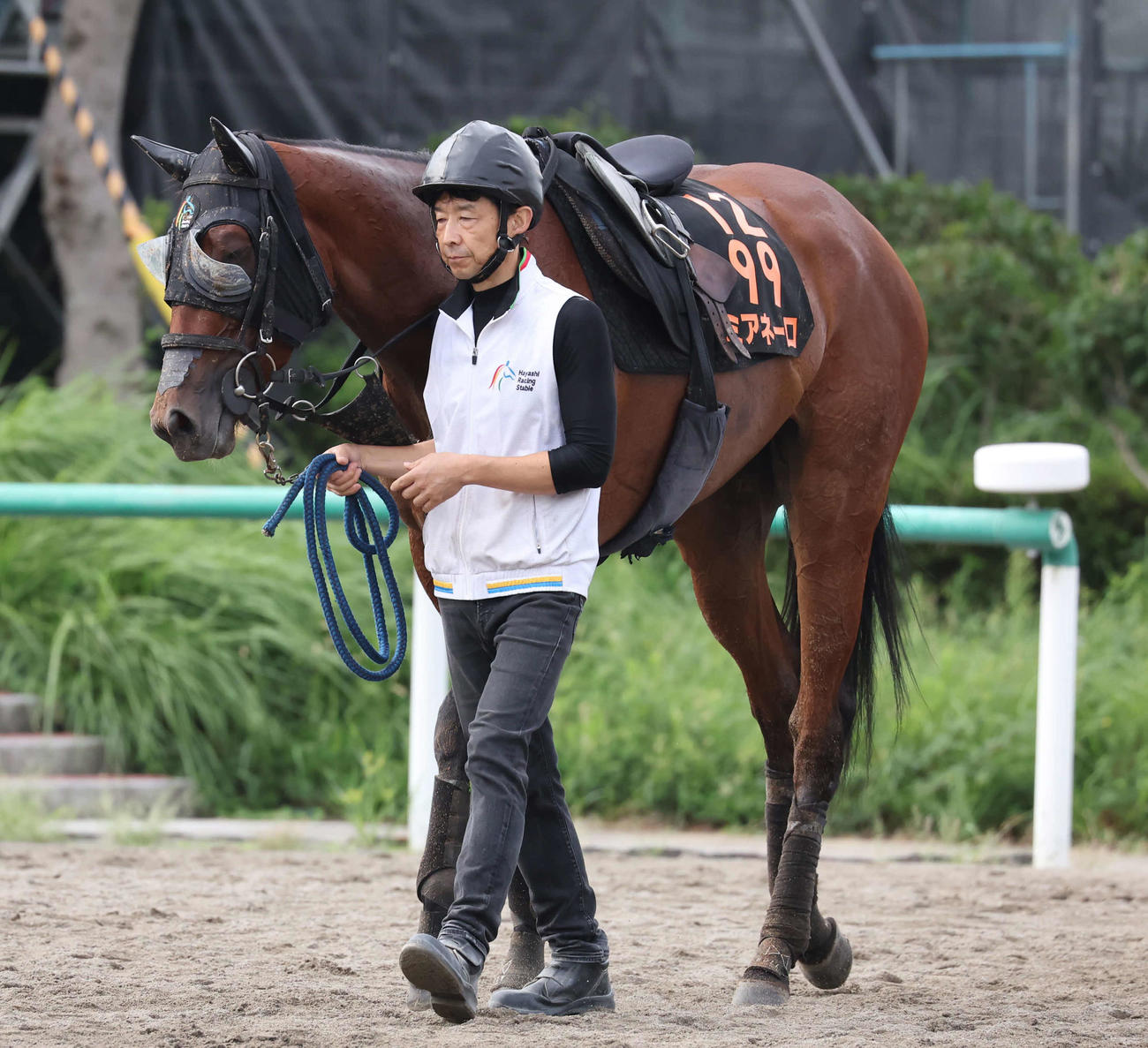 4日、追い切りを終えて引き揚げるミアネーロ