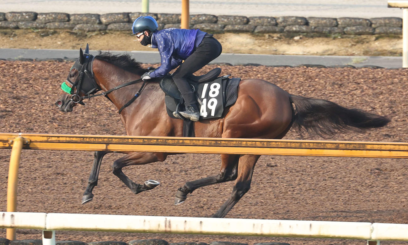 松山騎手を背にCウッドで追い切るオーロラエックス