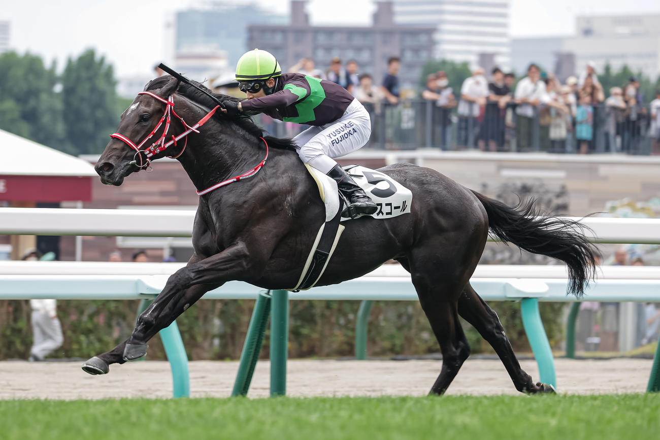7月21日、新馬戦を制したキングスコール