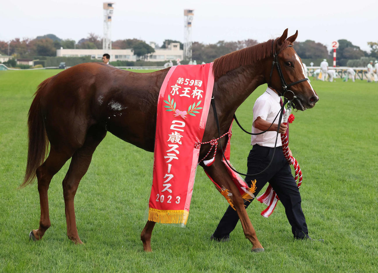 23年京王杯2歳Sを制したコラソンビート