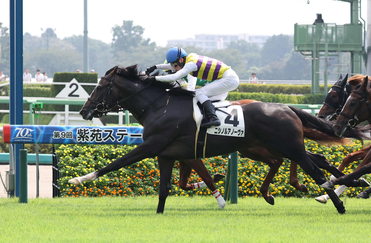中山2R、2歳未勝利戦を制したニシノルアノーヴァと永野騎手（撮影・丹羽敏通）