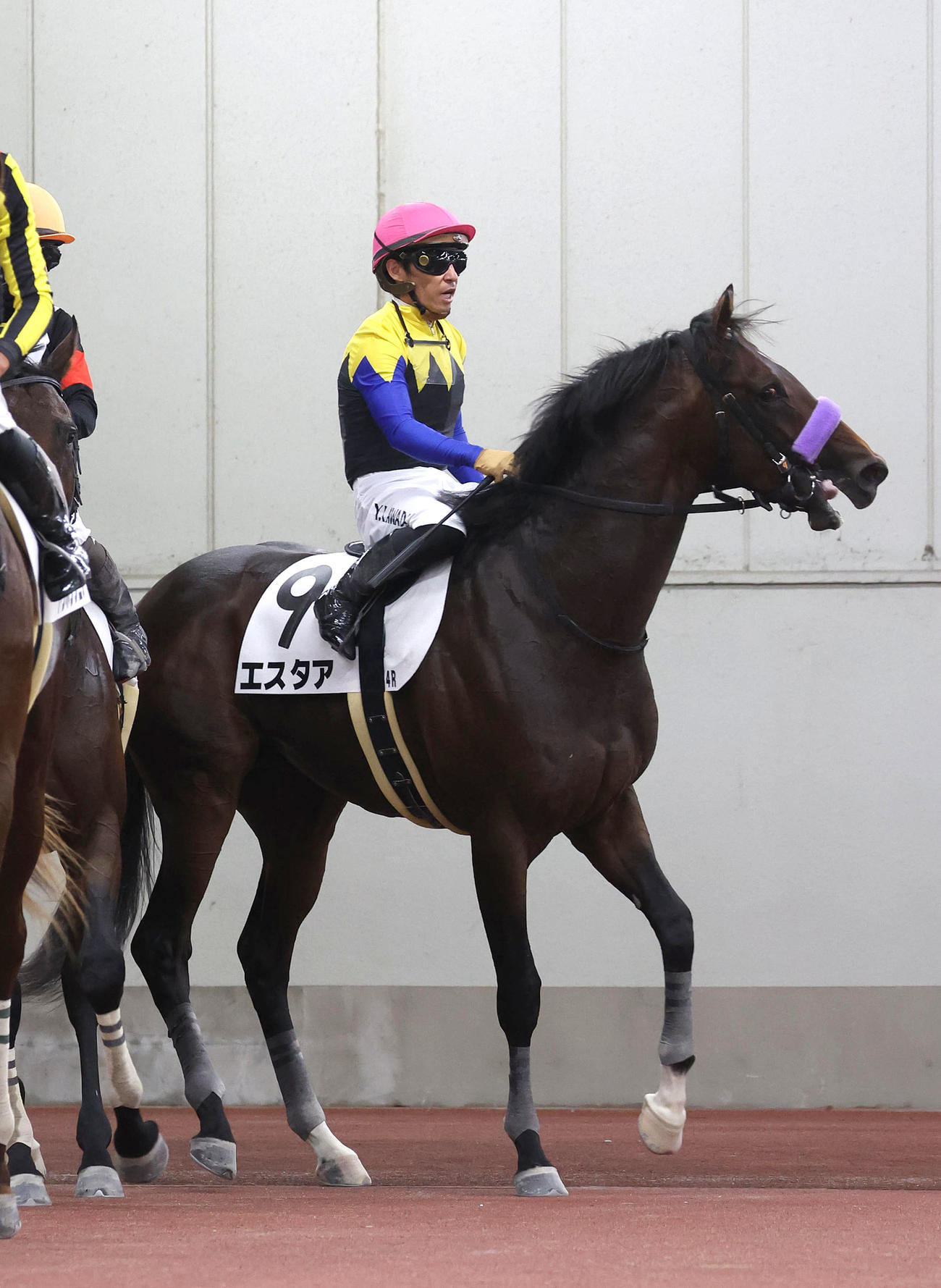 中京4R新馬戦、6着に敗れたエスタア（撮影・白石智彦）