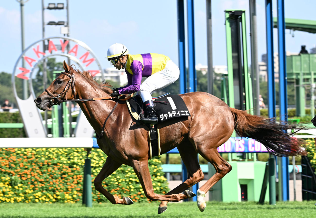 アスター賞を制したジャルディニエと戸崎（撮影・千葉一成）